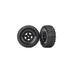 Traxxas kolo 1.9", disk TRX-4 Sport, pneu Canyon Trail (pár) - 1