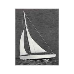 Ace Racing Sloop plachetnice 432mm - 1