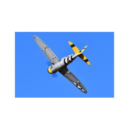 65" P-47 Easy Angels - 1,65m - 2