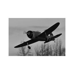 65" P-47 Easy Angels - 1,65m - 4