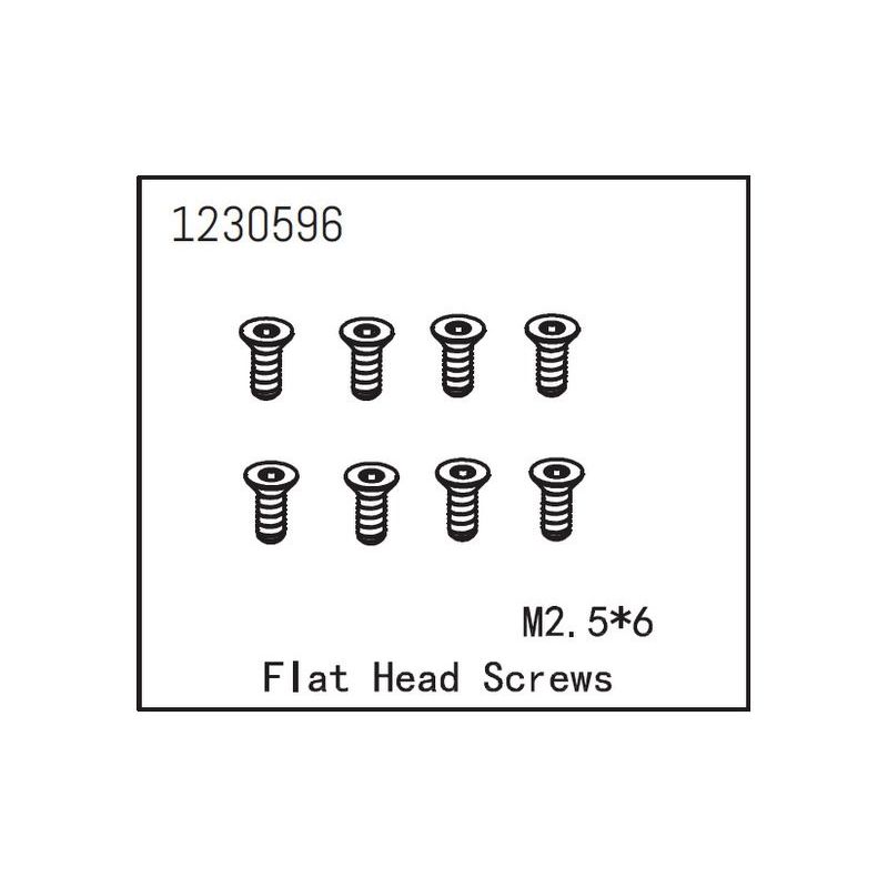 Flat Head Screw M2.5*6 (8) - 1