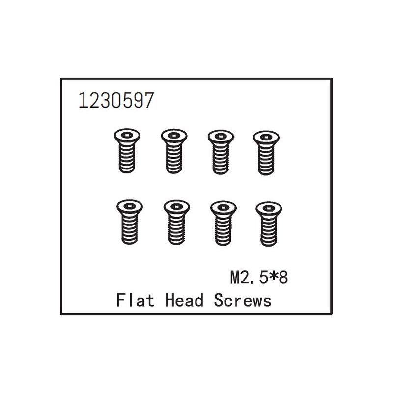 Flat Head Screw M2.5*8 (8) - 1