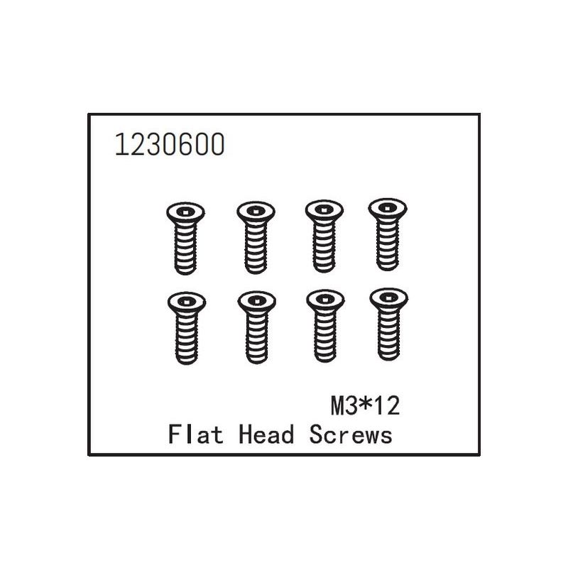 Flat Head Screw M3*12 (8) - 1