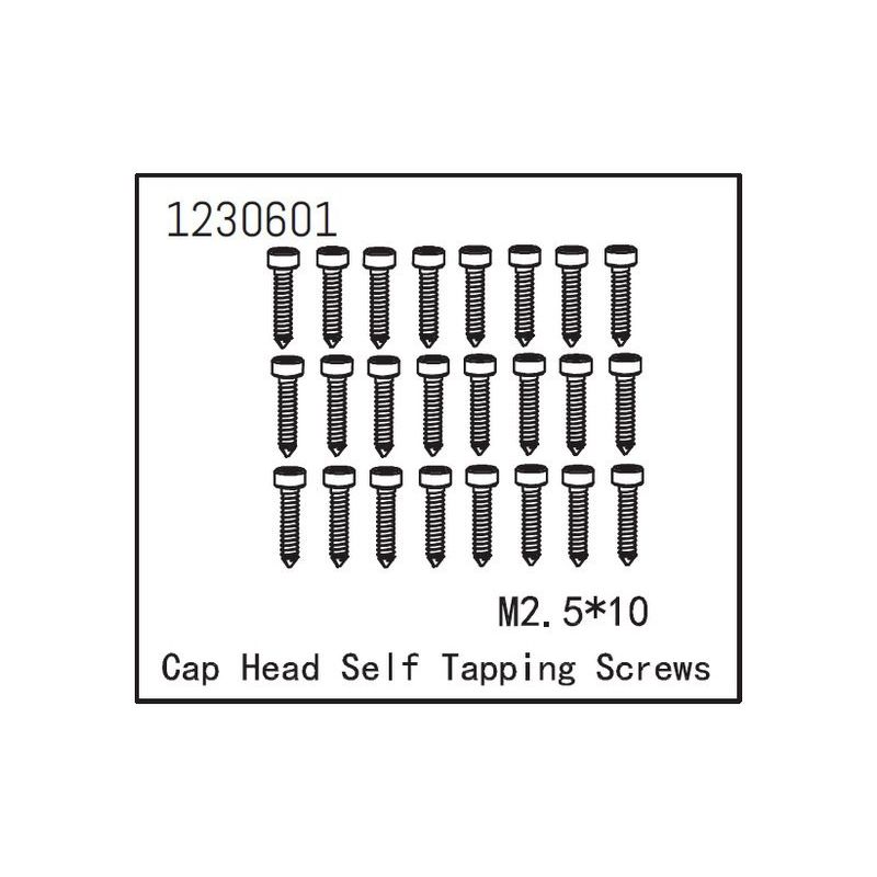 Self-tapping Cap Screw M2.5*12 (24) - 1