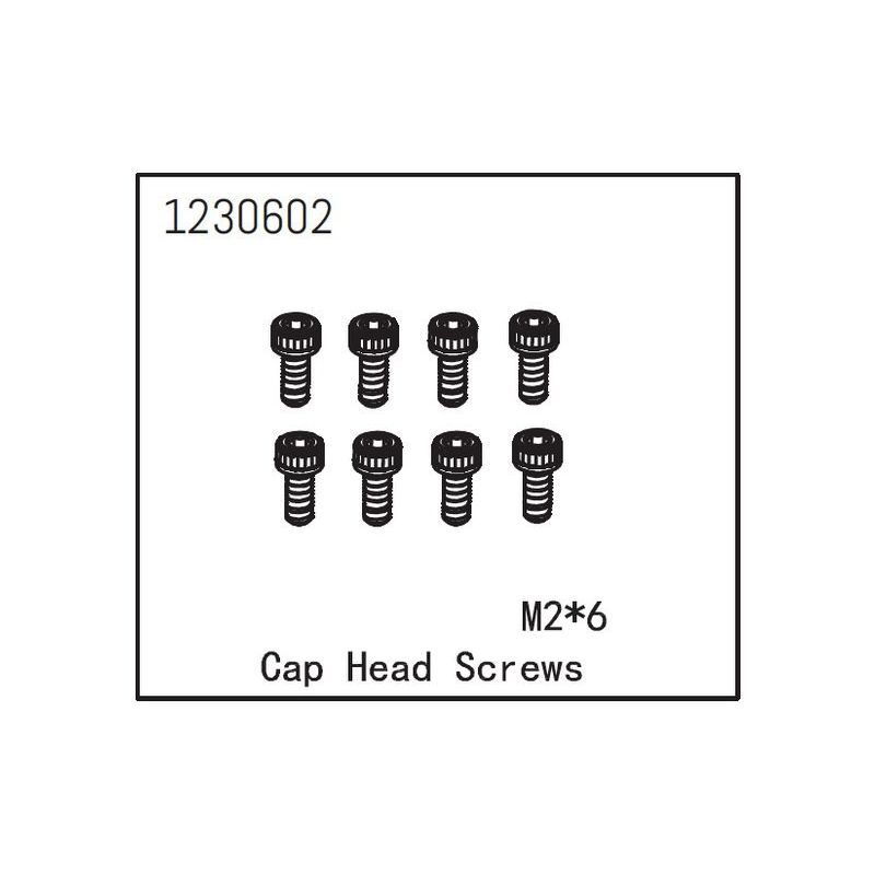Cap Head Screw M2*6 (8) - 1