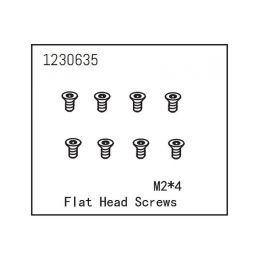 Flat Head Screw M2*4 (8) - 1