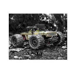 DTX elektro Offroad truck - 2.4GHz RTR (4wd) - 19