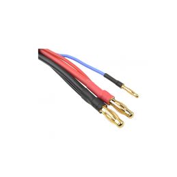 Nabíjecí kabel s 6S XH - 4mm/2mm 30cm - 2
