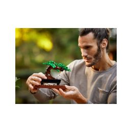 LEGO Creator - Bonsaj - 11