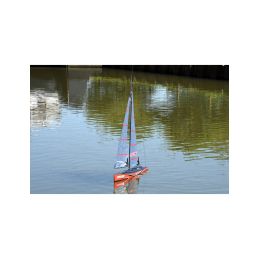 Focus V2 1m plachetnice PNP - 29