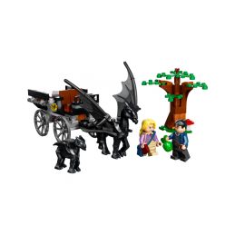 LEGO Harry Potter - Bradavice: Kočár a testrálové - 1