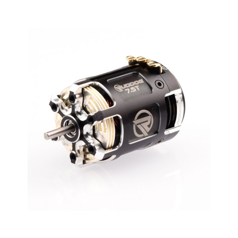 RP542 6.5T 540 Sensored Brushless/střidavý motor - 1