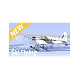 Aerofly RC10 na DVD pro Win8.1/10/11 - 4