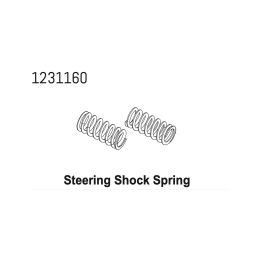 1231160 - Steering Spring2 CR4.4 (2) - 1