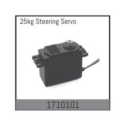 25kg Steering Servo - 1