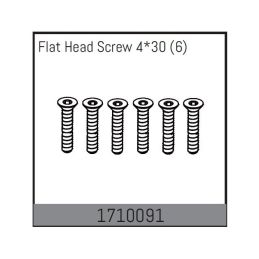 Flat Head Screw 4*30 (6) - 1