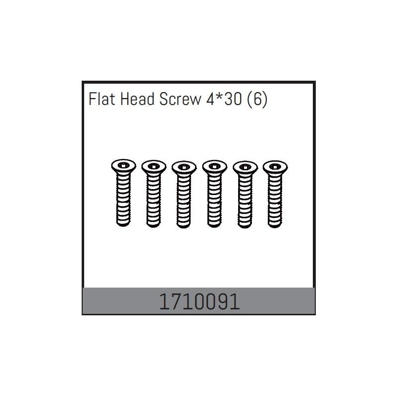 Flat Head Screw 4*30 (6) - 1