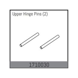 Upper Hinge Pins (2) - 1