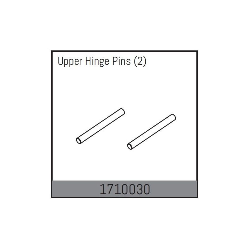 Upper Hinge Pins (2) - 1