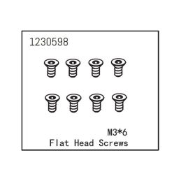 Flat Head Screw M3*6 (8) - 1