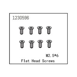 Flat Head Screw M2.5*6 (8) - 1