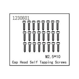 Self-tapping Cap Screw M2.5*12 (24) - 1