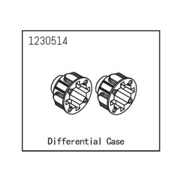 Differential Case - 2 Differential Case - 2