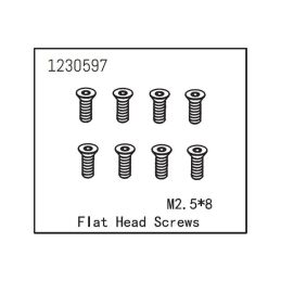 Flat Head Screw M2.5*8 (8) - 1