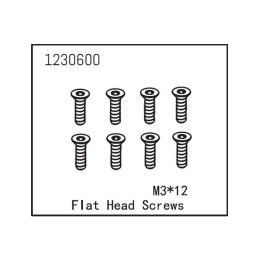 Flat Head Screw M3*12 (8) - 1