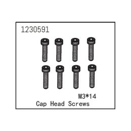 Cap Head Screw M3*14 (8) - 1