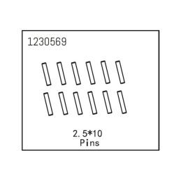 Pins 2.5*10 (12) - 2 Pins 2.5*10 (12) - 2