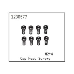 Cap Head Screw M2*4 (8) - 1