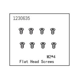 Flat Head Screw M2*4 (8) - 2 Flat Head Screw M2*4 (8) - 2