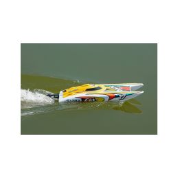 Smart Cat 2.4G RTR - 6