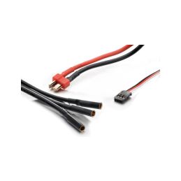 Combo Brushless Absima Thrust BL ECO 1:10 60A 3650/3300kV - 8