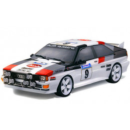 Polepy audi Quattro gruppe 4